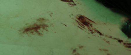 Торо (2016)