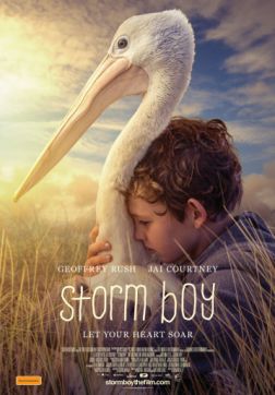 Фильм Штормовой мальчик (2019)