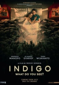 Фильм Индиго (2023)