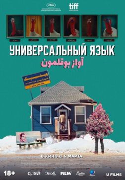 Фильм Универсальный язык (2024)