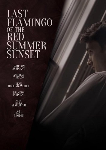 Фильм Последний фламинго красного летнего заката (2024)